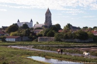 Gîtes pour visiter Noirmoutier