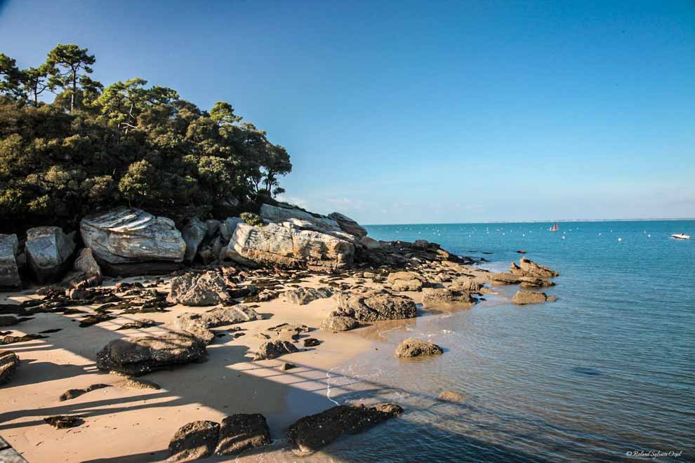 Ile de noirmoutier Pointe