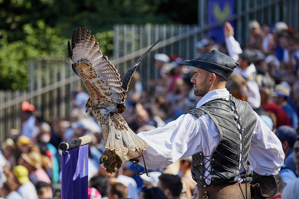 Gite grande capacité proche du puy du fou  pour assister au Bal des Oiseaux Fantômes