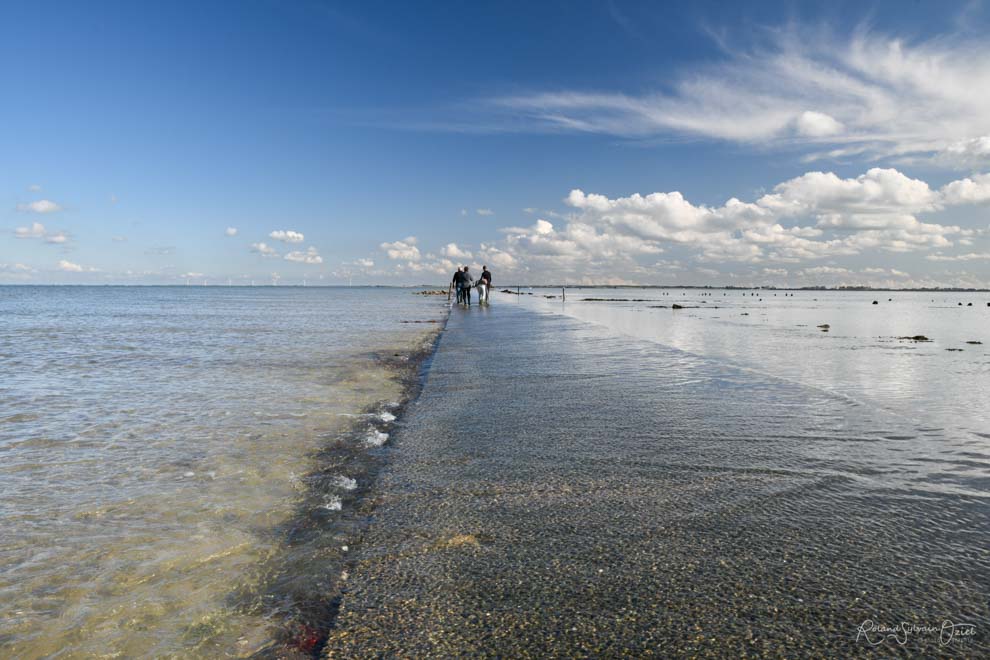 Traversée du Passage du Gois à marée haute