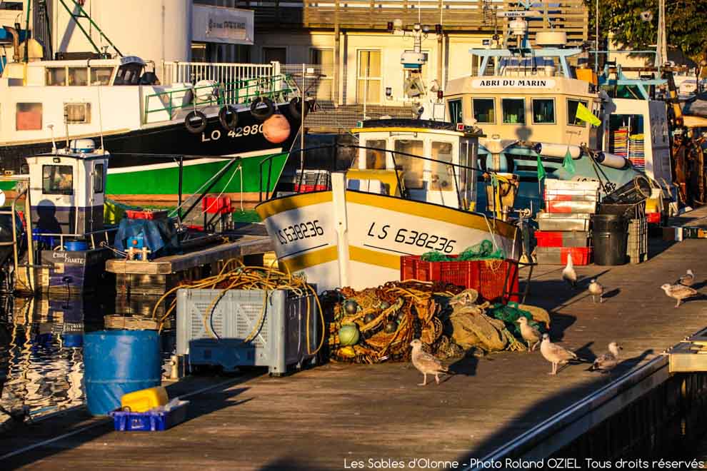 Les Sables d&apos;Olonne le Port de Pêche