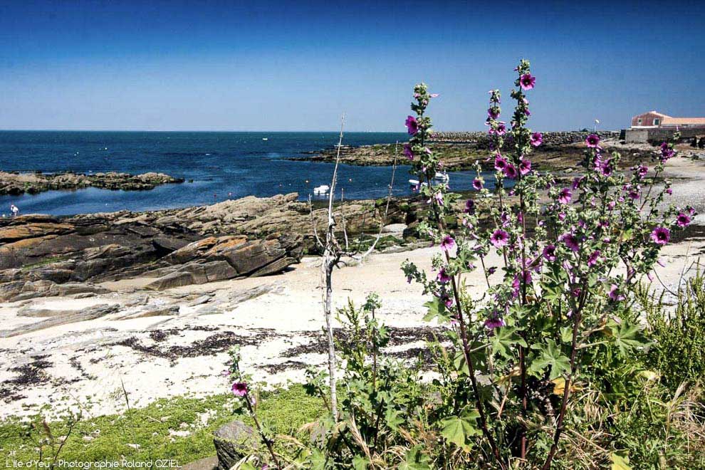 plages du remblai de Saint Gilles Croix de Vie