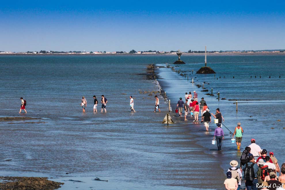 Touriste allat pêcher au Passage du Gois