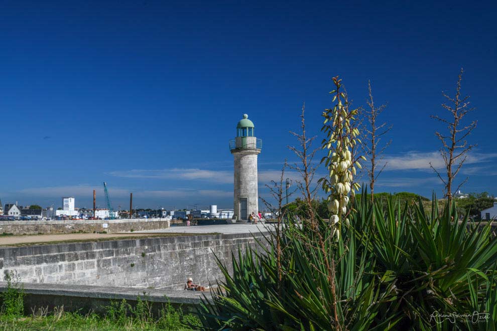 Saint Gilles Croix de Vie La Tour Joséphine quartier du Boisvinet